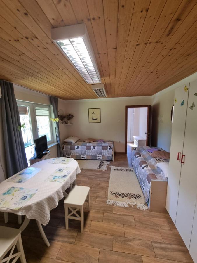 Dobra Hisa Zdravja Cicarija Hotel Golac Eksteriør billede